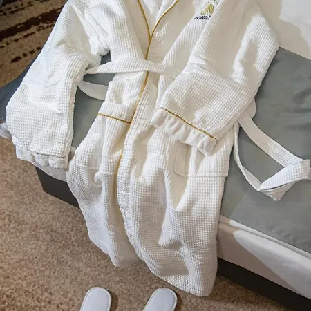 Willis Business & Wellness 4* 佐洛埃格塞格