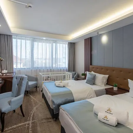 Willis Business & Wellness 酒店 4*