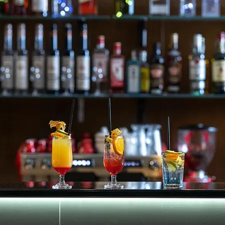 Willis Business & Wellness 酒店 佐洛埃格塞格