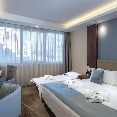 酒店 Willis Business & Wellness 4*