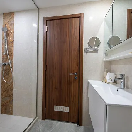 Willis Business & Wellness 酒店