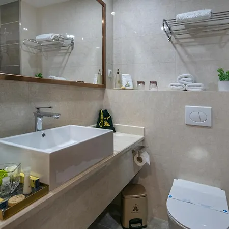 Willis Business & Wellness 酒店