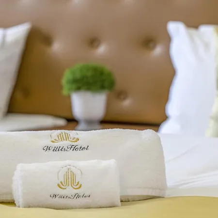 Willis Business & Wellness 佐洛埃格塞格