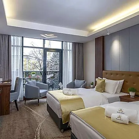 호텔 Willis Business & Wellness 4*