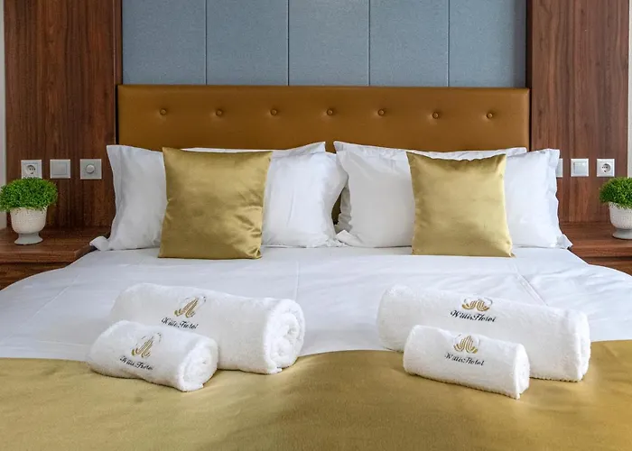 Willis Business & Wellness 4* זלאגרסג